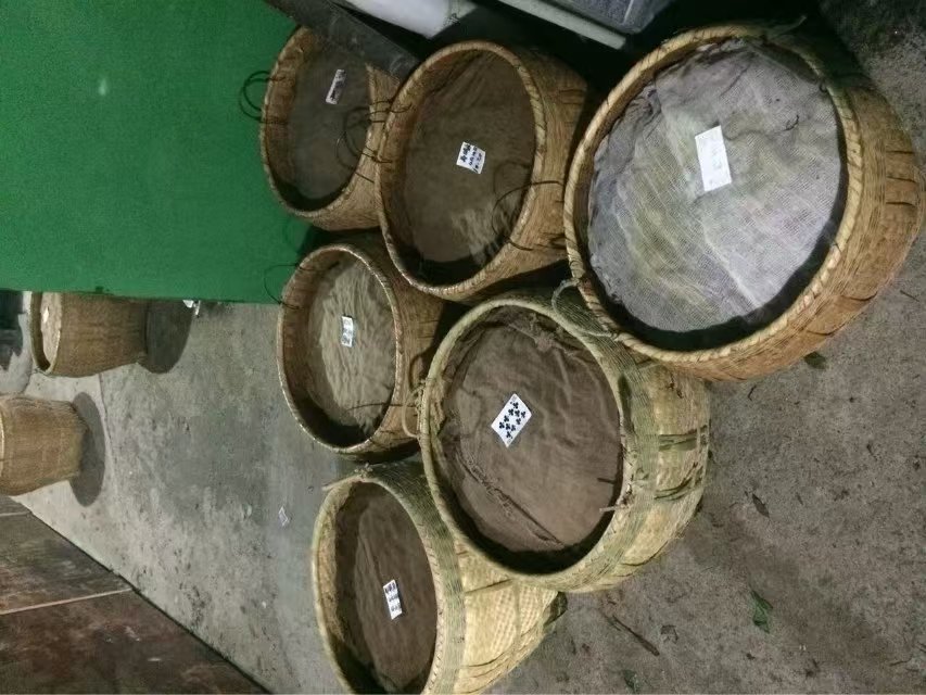 Wuyi black tea processing scene with tea maker and leaves
