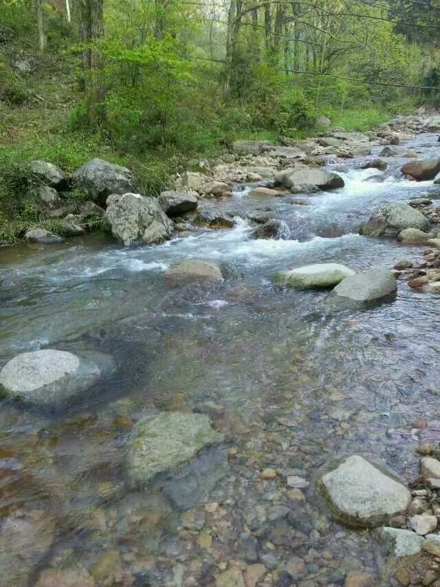Clear mountain stream in the Wuyi tea area