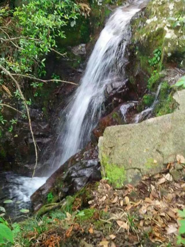 Small waterfall in the Wuyi mountain tea area