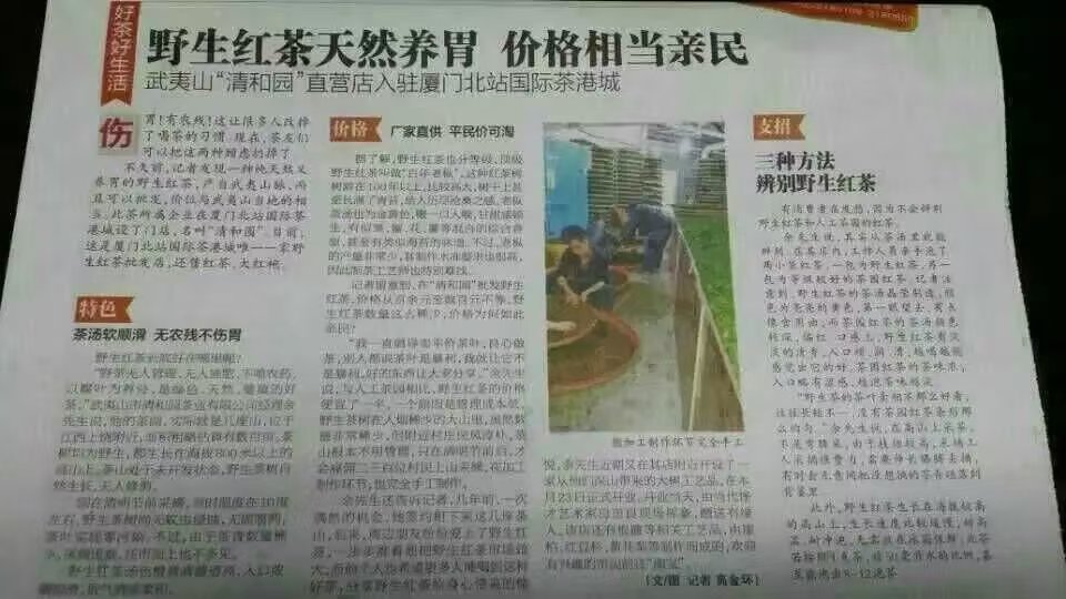 Newspaper report about Wuyi wild black tea